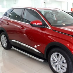 Nerez bon lity dve Peugeot 3008 II